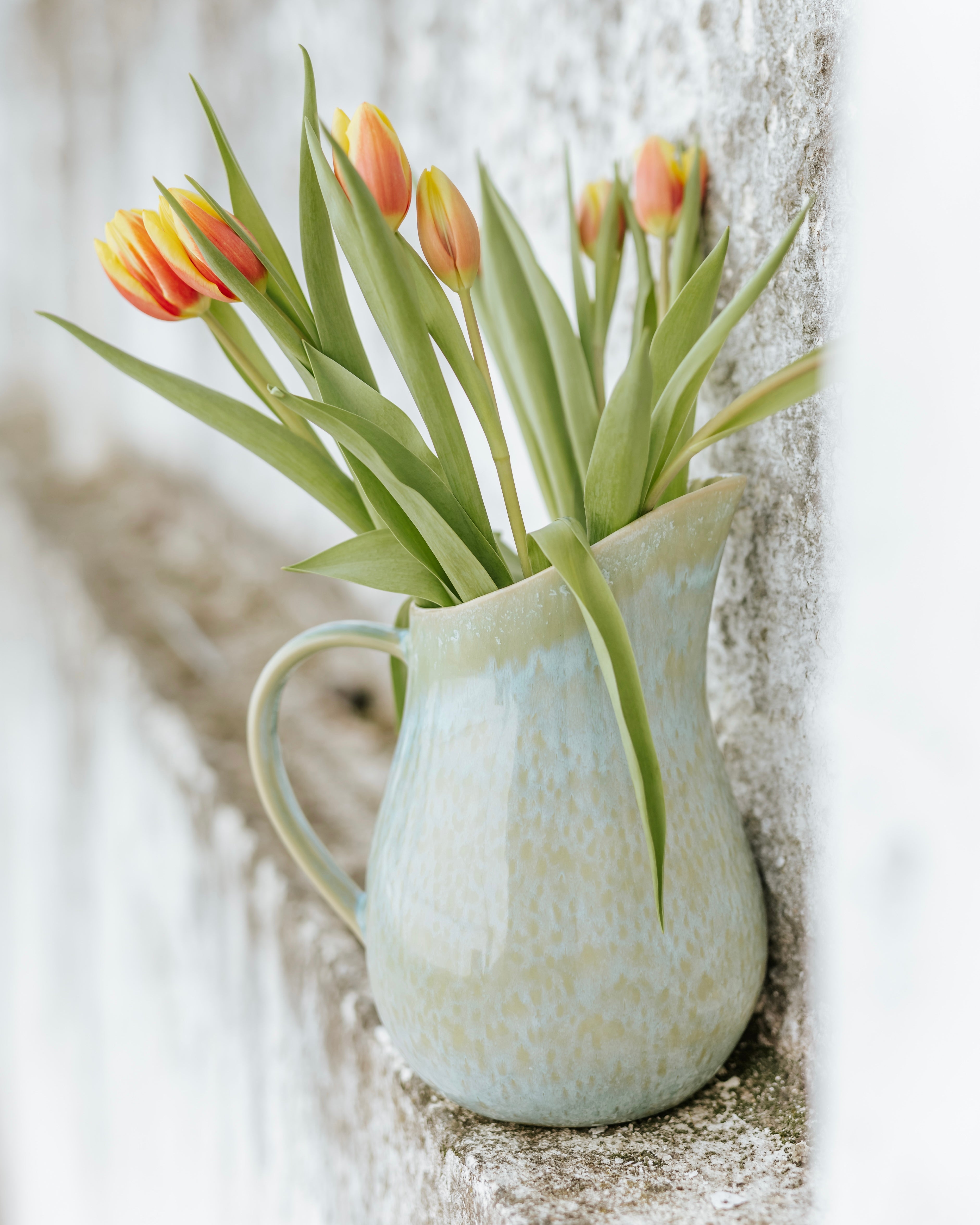 Évora Krug Mint Grün