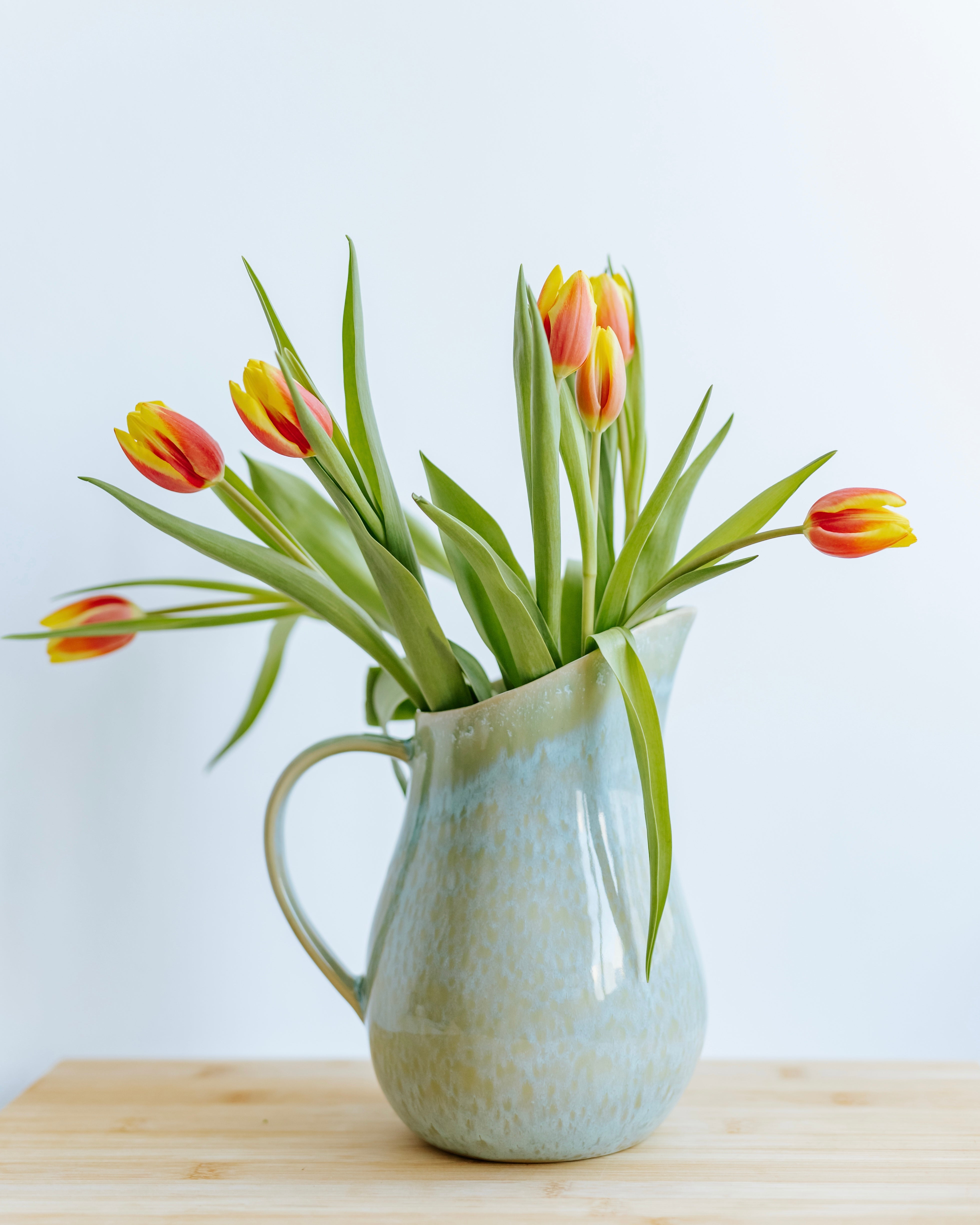 Évora Krug Mint Grün